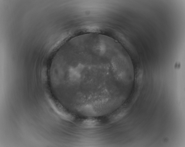 X0000111910213200907271229