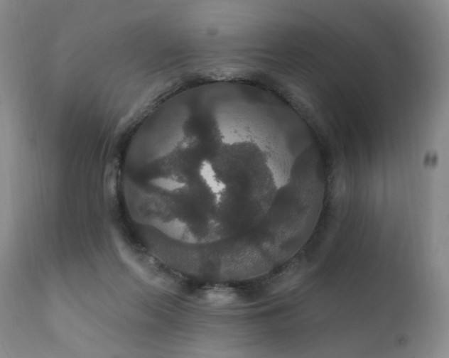 X0000111910214200907271229