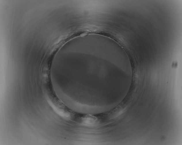 X0000111910215200907271229