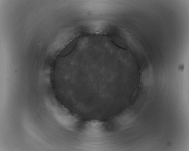 X0000111910217200907271229