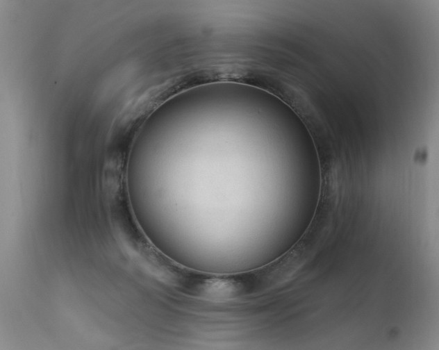 X0000111910218200907271229