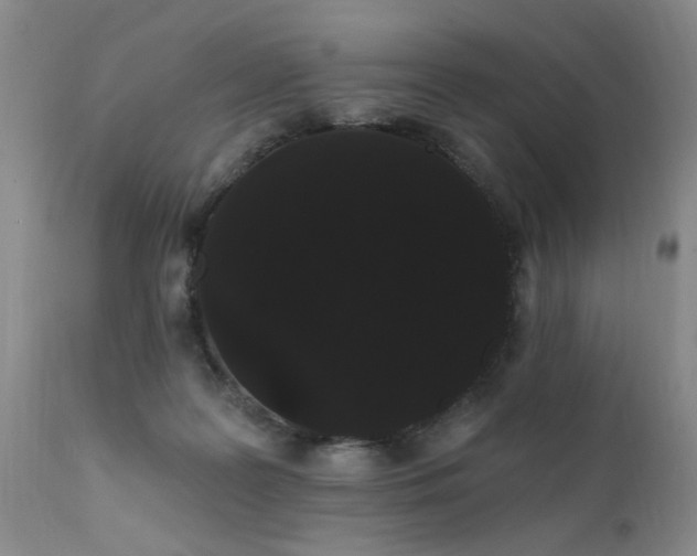 X0000111910219200907271229