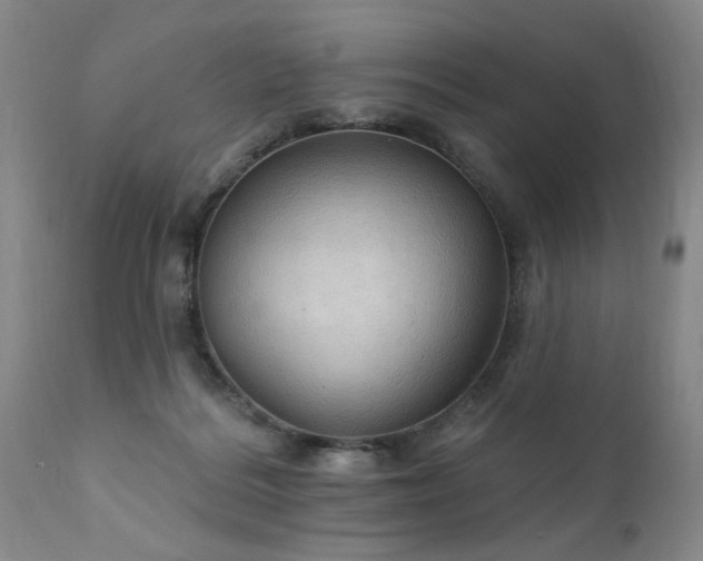 X0000111910220200907271229