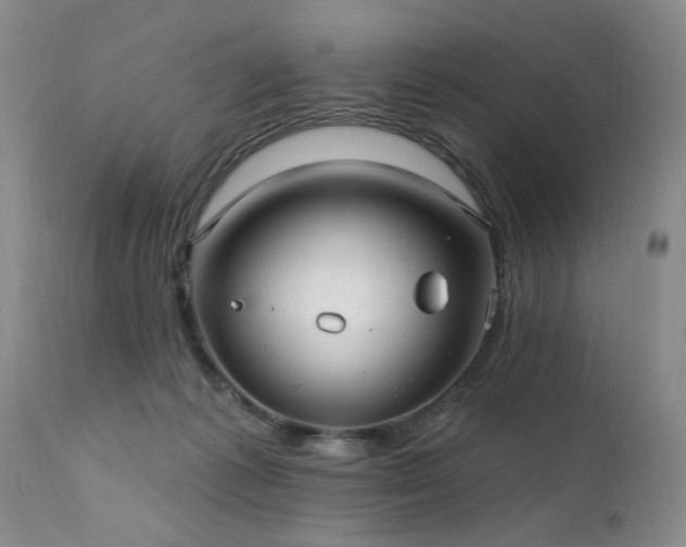 X0000111910221200907271229