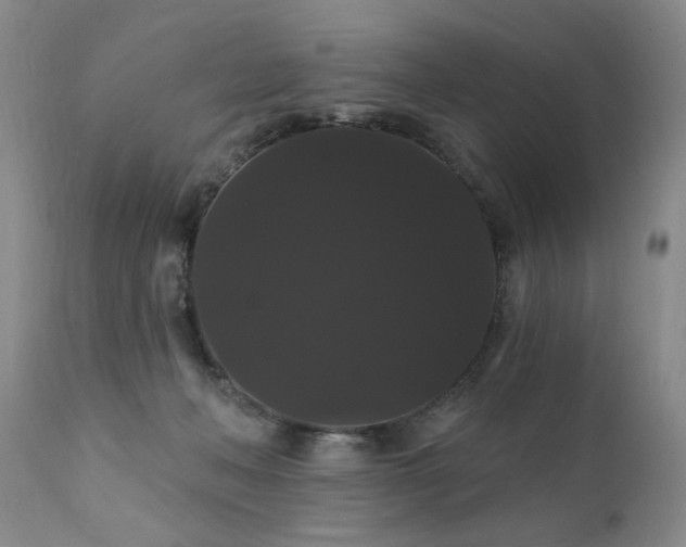 X0000111910222200907271229