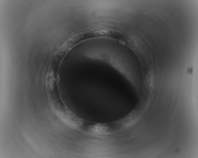 X0000111910223200907271229