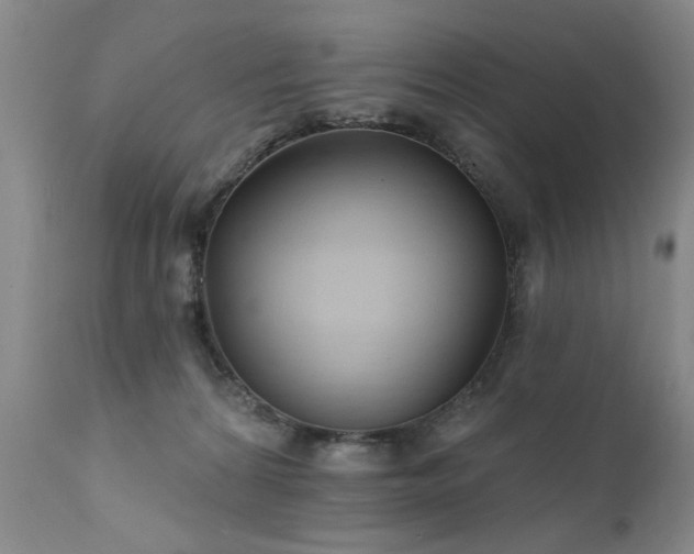 X0000111910224200907271229