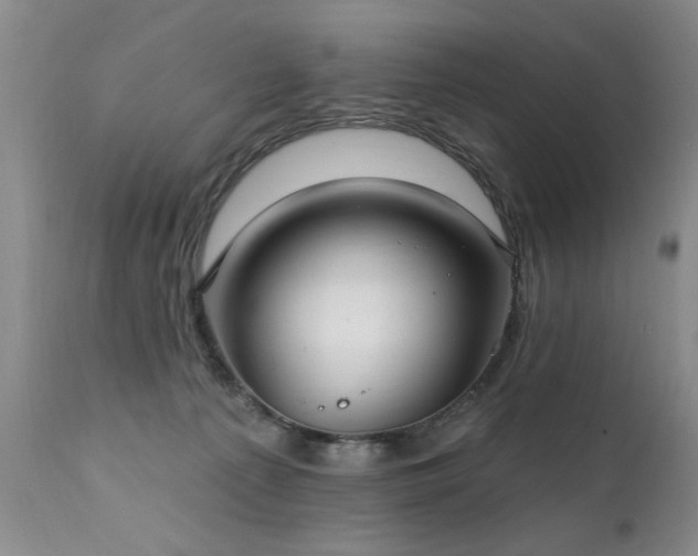 X0000111910225200907271229