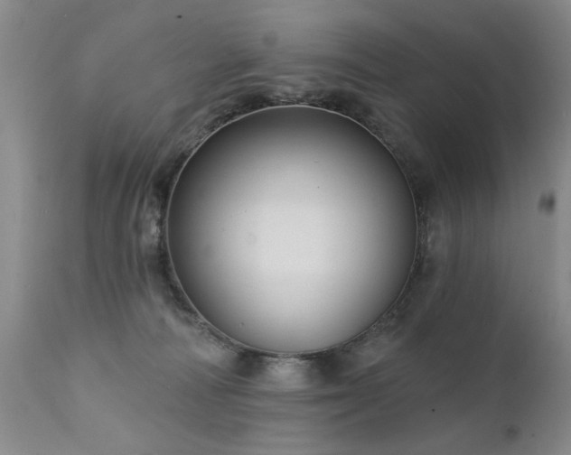 X0000111910226200907271229