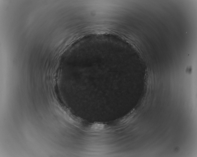X0000111910227200907271229