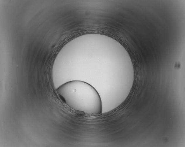 X0000111910229200907271229