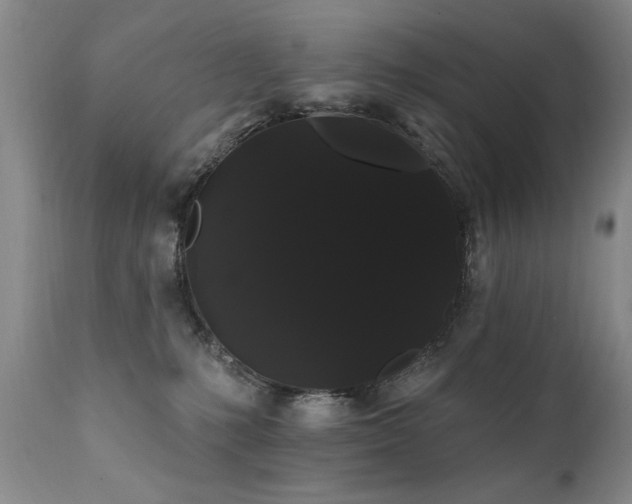 X0000111910231200907271229
