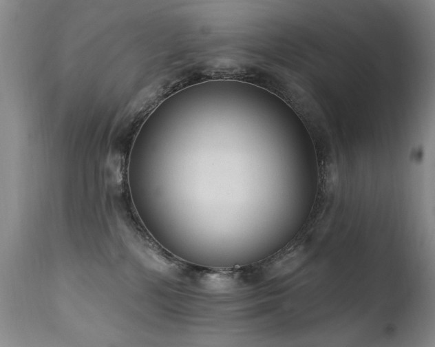 X0000111910232200907271229