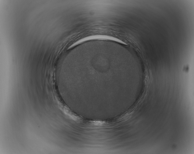 X0000111910233200907271229