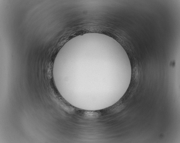 X0000111910234200907271229