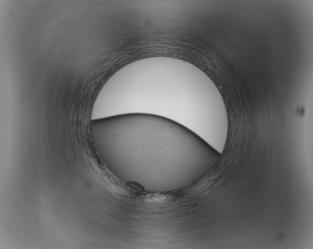 X0000111910235200907271229
