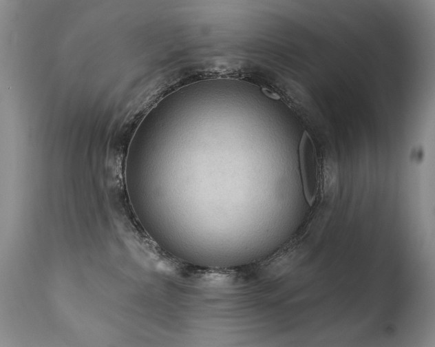 X0000111910236200907271229
