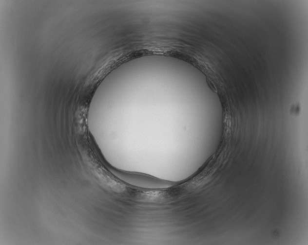 X0000111910237200907271229