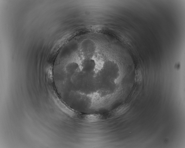 X0000111910238200907271229