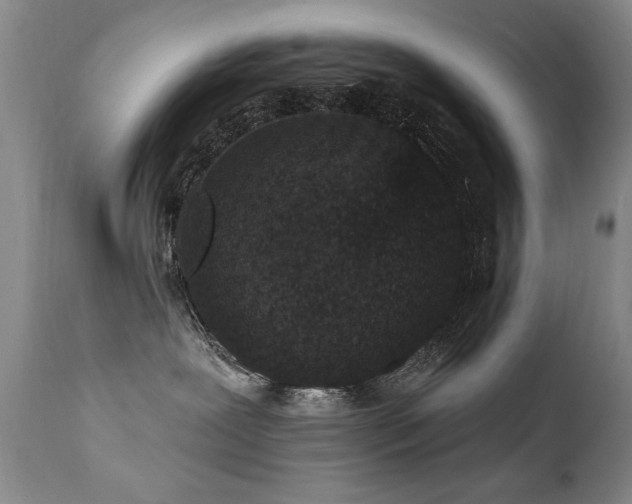 X0000111910239200907271229