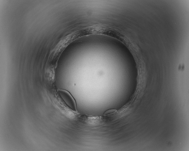 X0000111910240200907271229