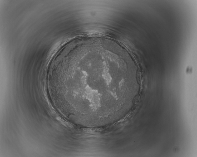 X0000111910241200907271228