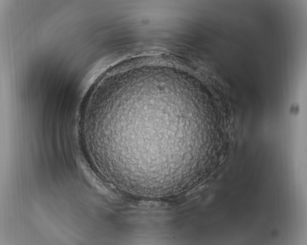 X0000111910242200907271228