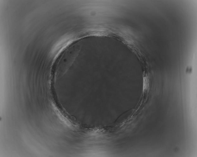 X0000111910243200907271228