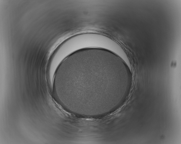 X0000111910244200907271228