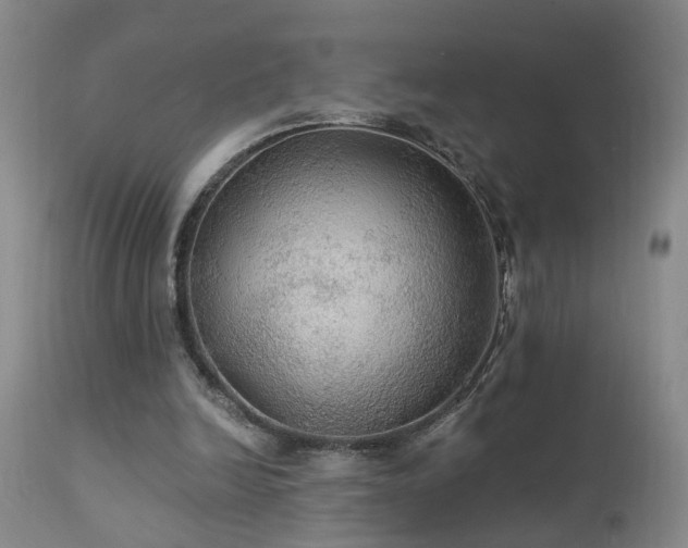 X0000111910246200907271228
