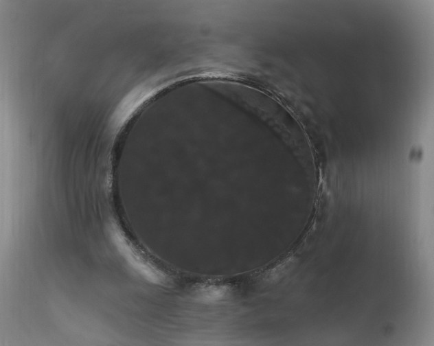 X0000111910247200907271228