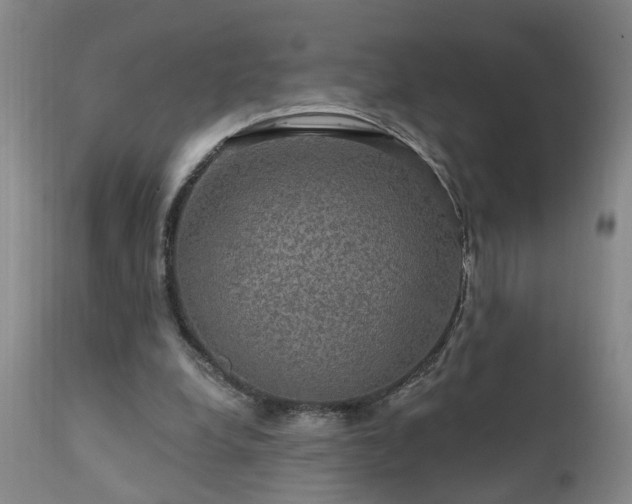 X0000111910248200907271228