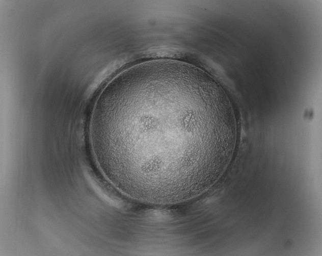 X0000111910250200907271228