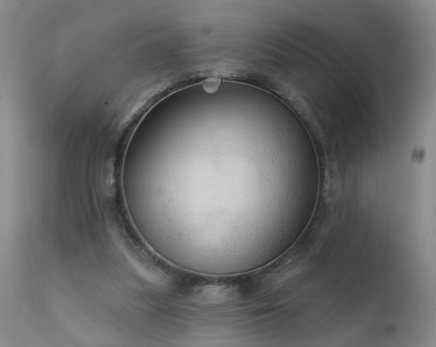 X0000111910251200907271228
