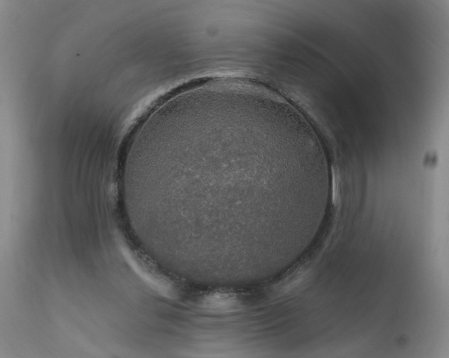 X0000111910252200907271228