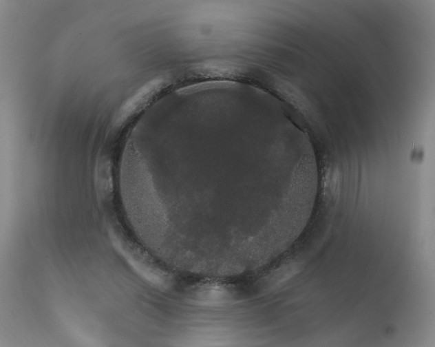 X0000111910254200907271228