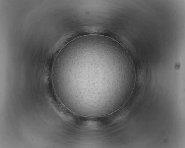 X0000111910255200907271228