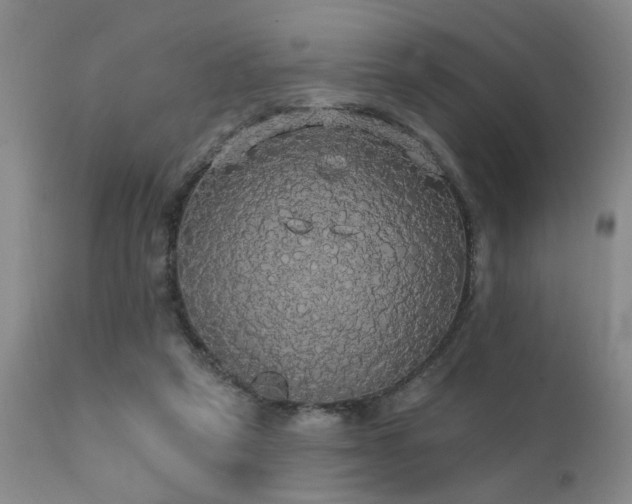 X0000111910257200907271228