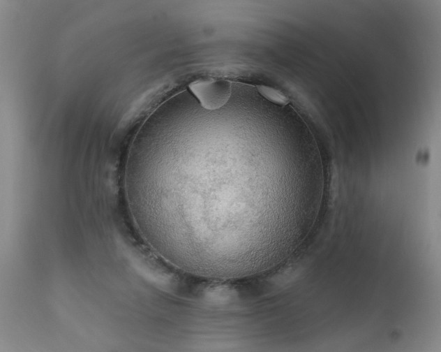 X0000111910258200907271229
