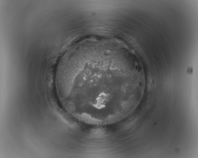 X0000111910259200907271229