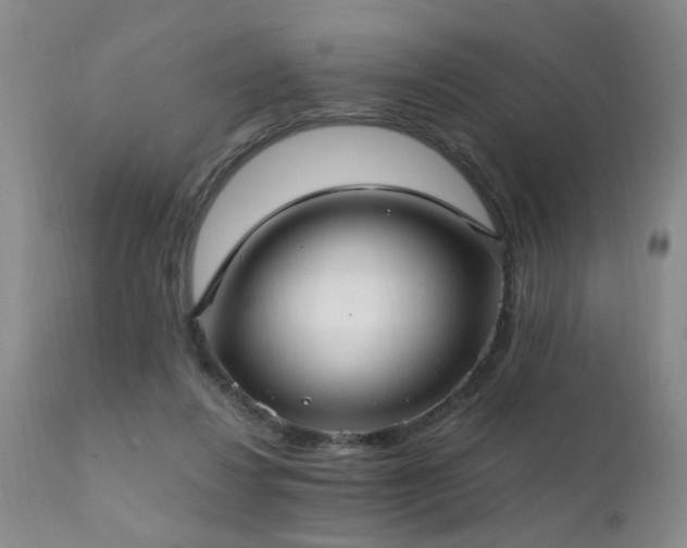 X0000111910260200907271229