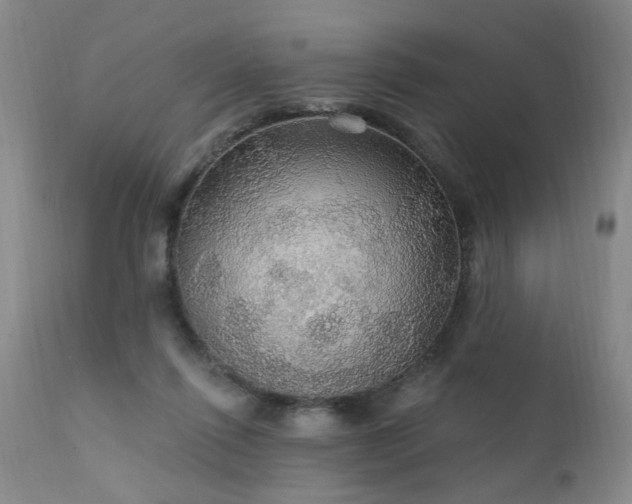 X0000111910262200907271229