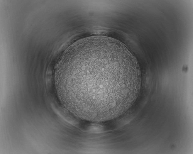 X0000111910263200907271229