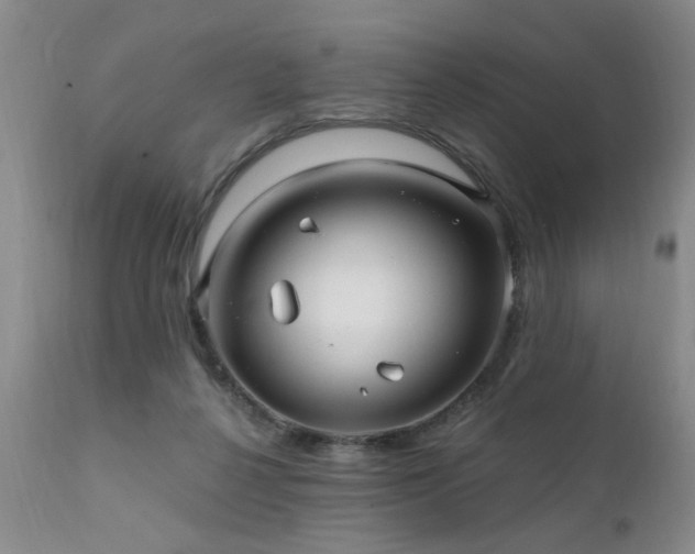 X0000111910264200907271229