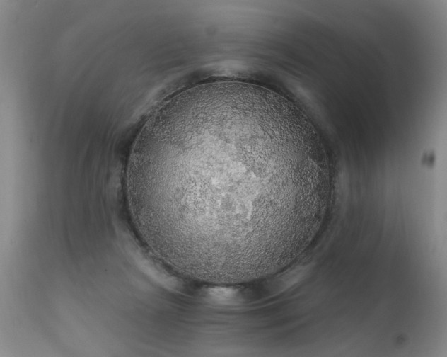 X0000111910265200907271229