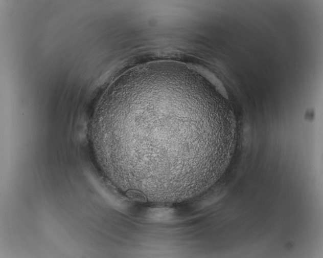 X0000111910266200907271229