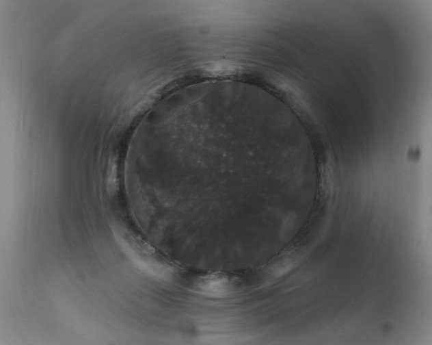 X0000111910267200907271229