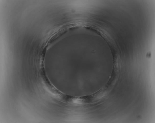 X0000111910268200907271229