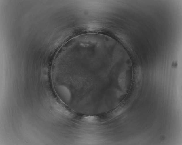 X0000111910269200907271229