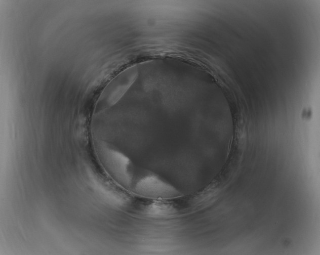 X0000111910270200907271229